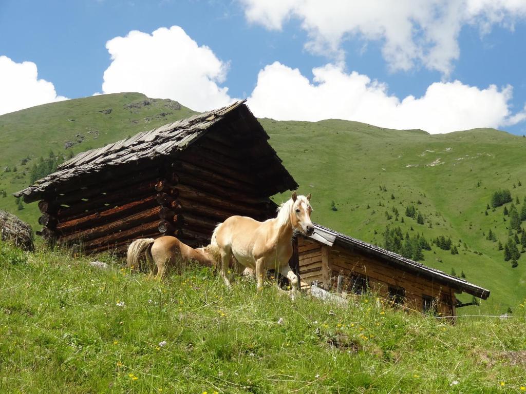 Apartamento Gastehaus Zwischenberger Obervellach Exterior foto